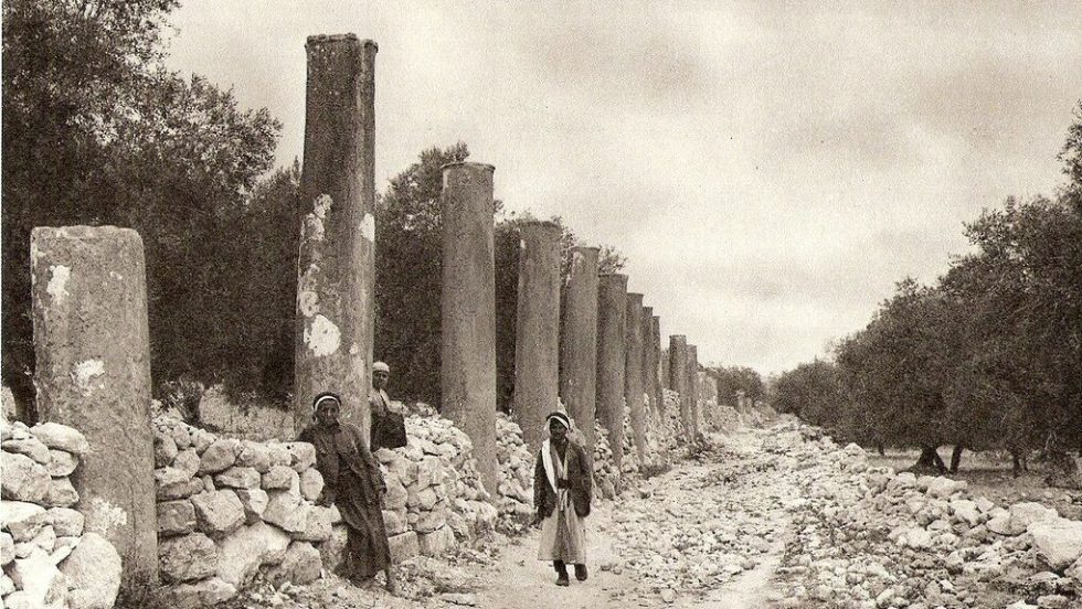 Ruins of Samaria